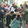 Cops, Neighbors Help Save Blind Poodle